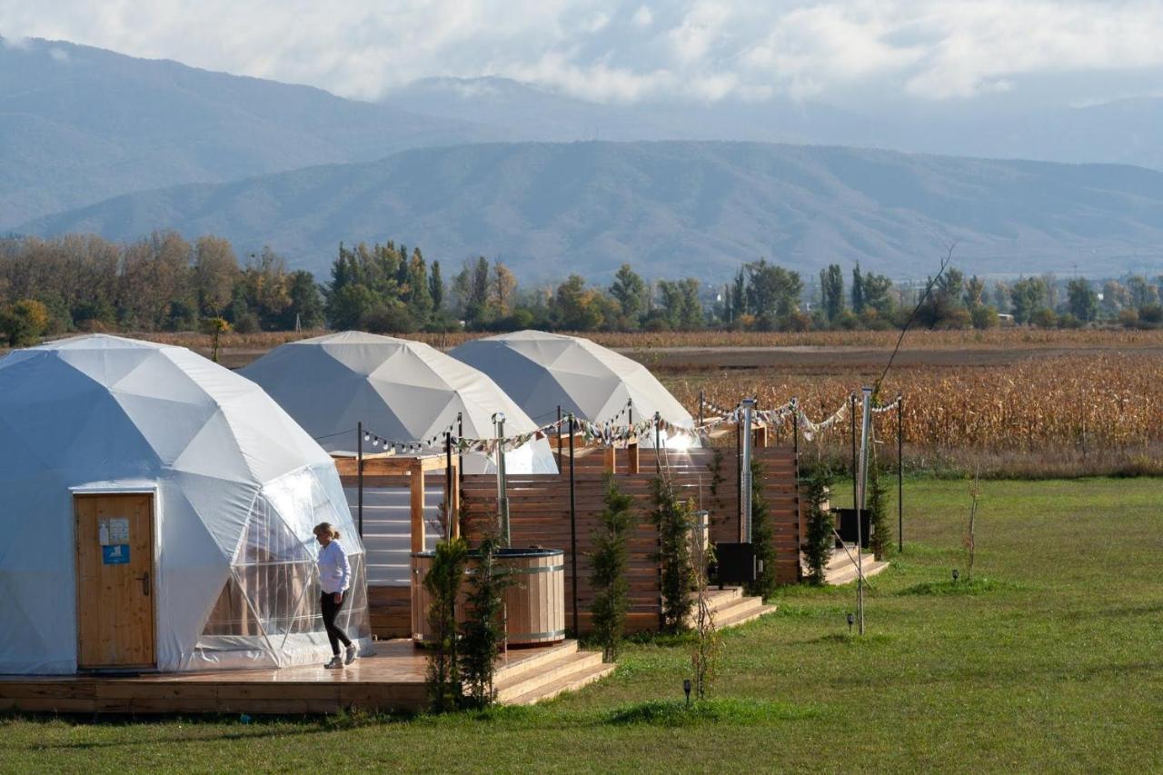 Jewelberry Glamping Hotel Tbilisi Mtsʼkhetʼa Extérieur photo
