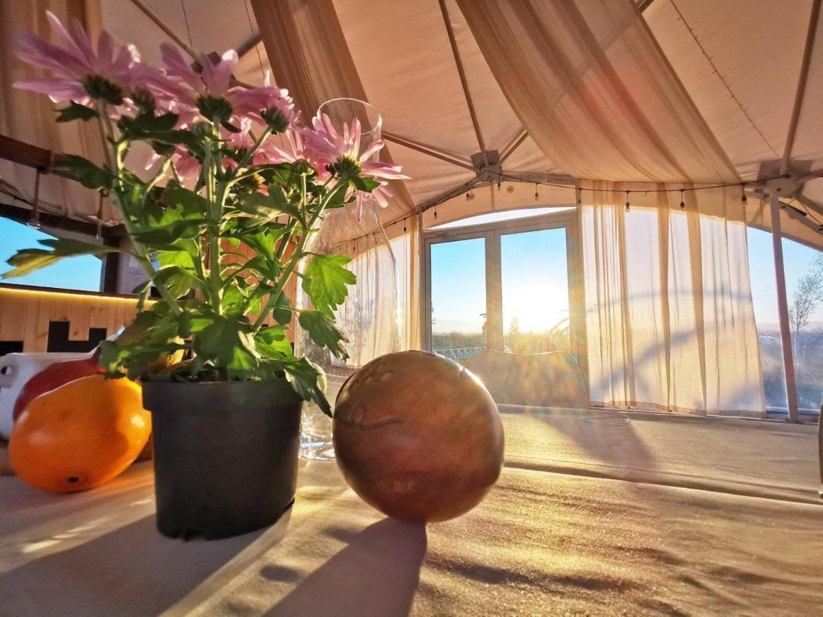 Jewelberry Glamping Hotel Tbilisi Mtsʼkhetʼa Extérieur photo